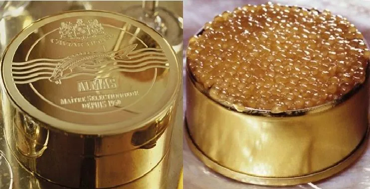 caviar-almas-15-Pratos-Mais-Caros-do-Mundo 15 Pratos Mais Caros do Mundo