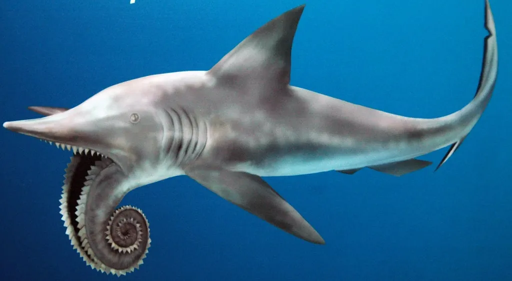 12-Animais-que-Existiam-na-Pre-historia-e-Voce-Nao-Sabia-2 12 Animais que Existiam na Pré-história e Você Não Sabia